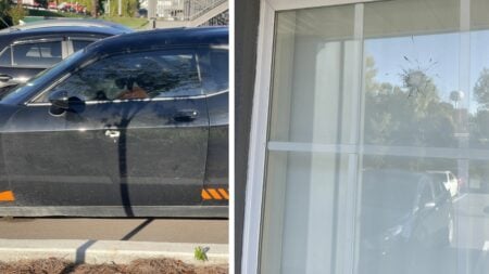 Nashville Car Owner Wakes up To Find Their New Vehicle Riddled with Bullet Holes, ‘Sounds Like You Need a Cleansing’ Nasvhille Vehicle and Apartment Shot