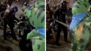 Portland Police Pepper-Sprays Breathing Vent of Protester in Frog Suit for Helping Another Officer