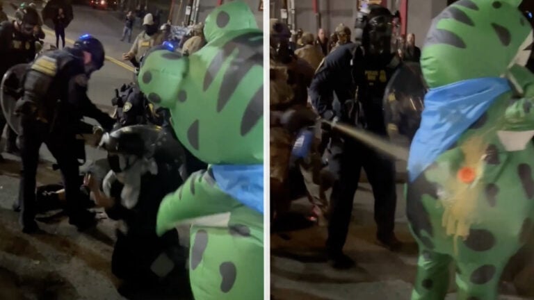 Portland Police Pepper-Sprays Breathing Vent of Protester in Frog Suit for Helping Another Officer