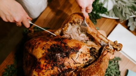 Utah Republican on Food Aid Now Worries About Thanksgiving Turkey as Trump Admin Pauses SNAP: ‘Thanks Alot You Scumbag Democrats’ SNAP turkey republican rant