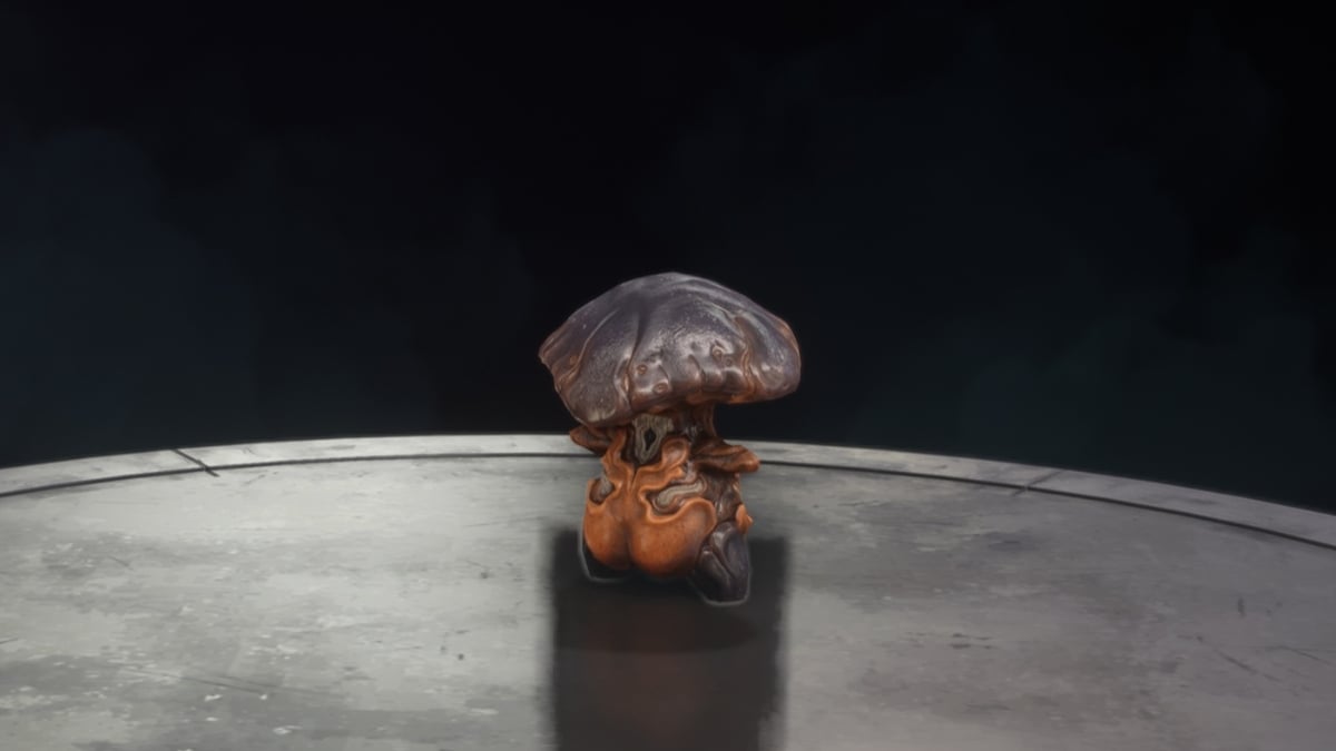 Warframe Nokko build guide