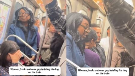 A picture of the New York woman.