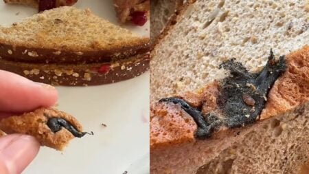 A picture of the Ohio woman's Aldi toast.