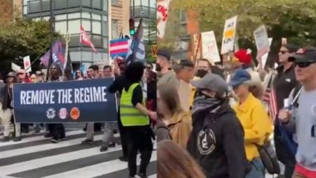 A picture of the Washington DC protest.
