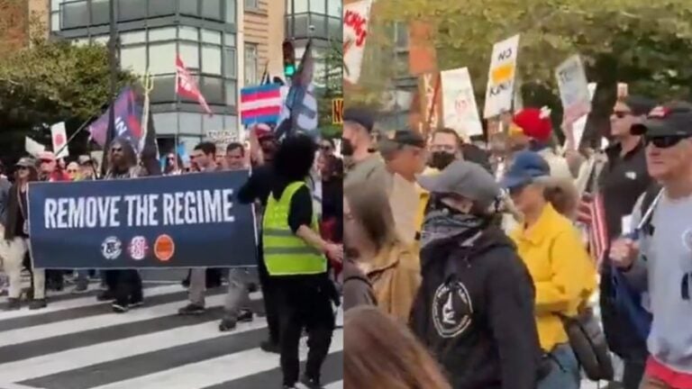 A picture of the Washington DC protest.
