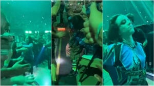 billie eilish fan grab