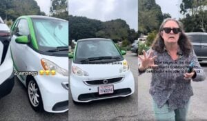 california ev karen